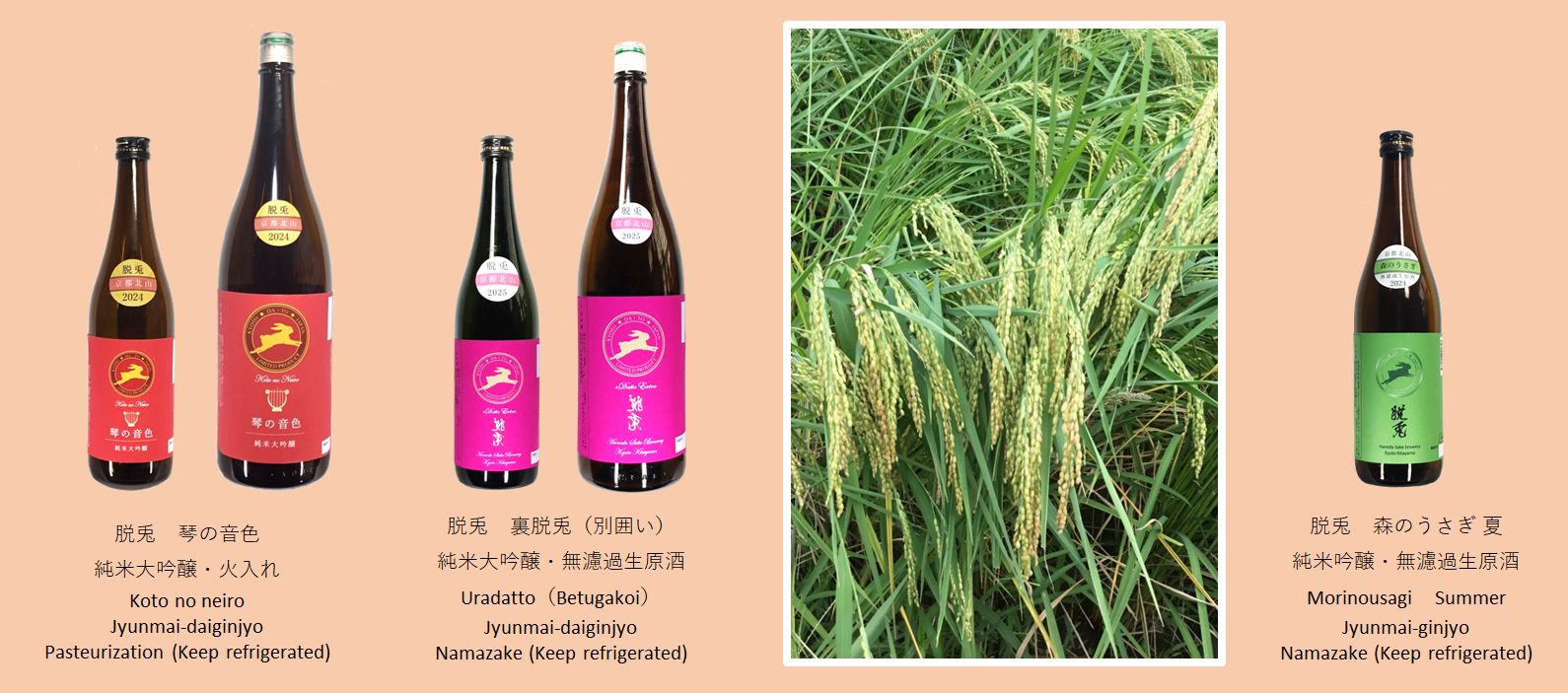 技術情報1